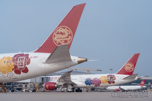 瞄准商务旅游市场 吉祥航空大幅升级精品航线服务