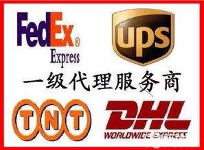 郑州飞渡国际快递ups 联邦 dhl fba头程 郑欧班列