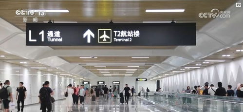 多项便捷服务畅通春运物流 大动脉 流动的中国充满活力