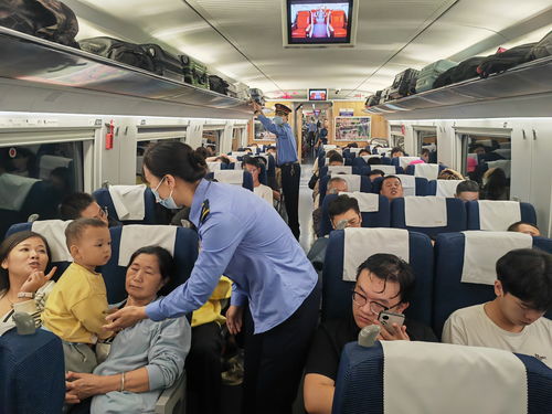 让旅客出行无忧 记郑州客运段党员服务旅客二三事