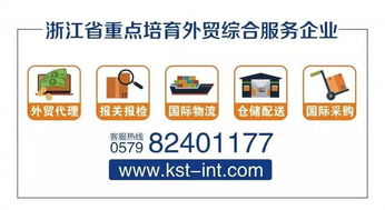 金士敦供应链 义乌欣海出口报关服务 产品手册