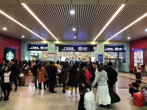 2019最强春运指南出炉 今年会有这些大变化,广州人出行速看