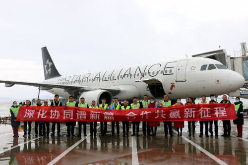 深航青岛 济南 烟台地面业务转交山东航空代理 民航联盟