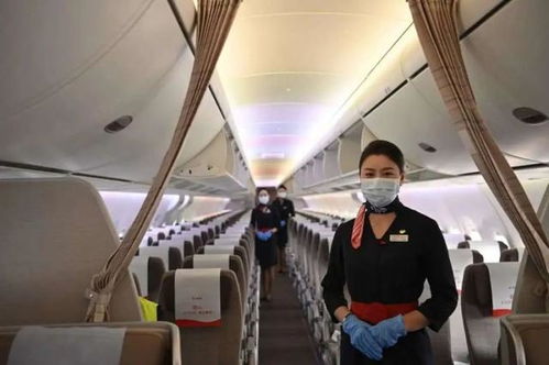 c919迎来首次春运服务,东航2024春运计划每天执行客运航班3280班