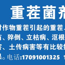 北京哈漫迪国际科技有限责任公司