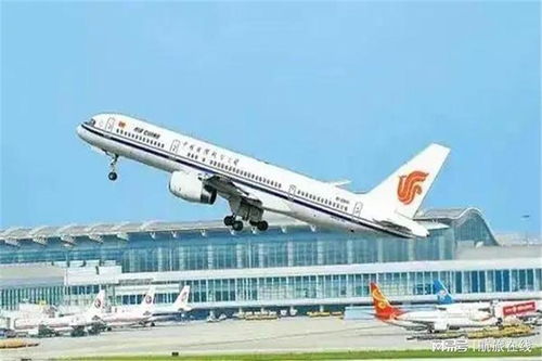 金鹏航空飞机团体订票如何操作 金鹏航空机票团购10个人便宜多少